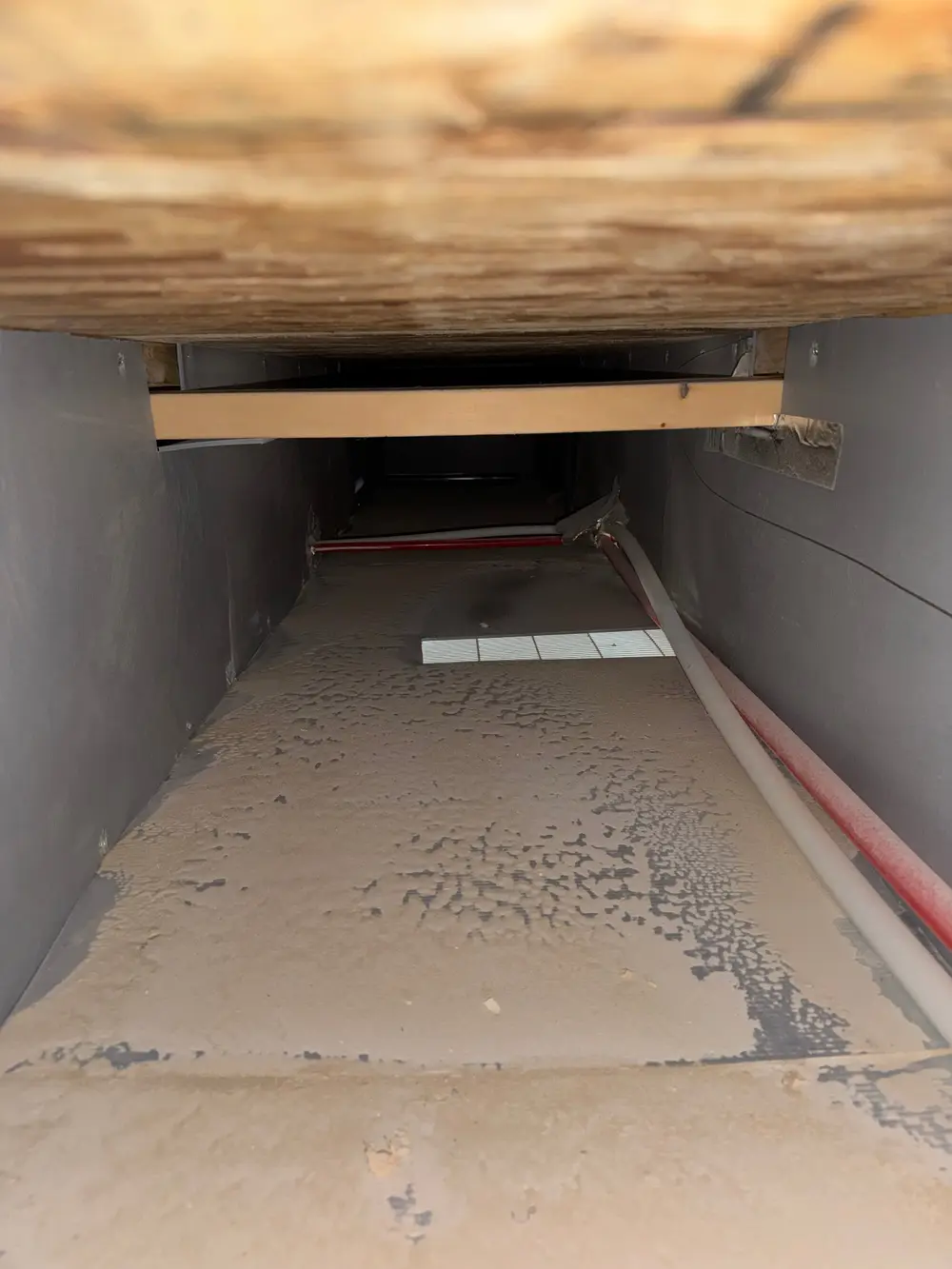Before main trunk line cleaning in Calgary