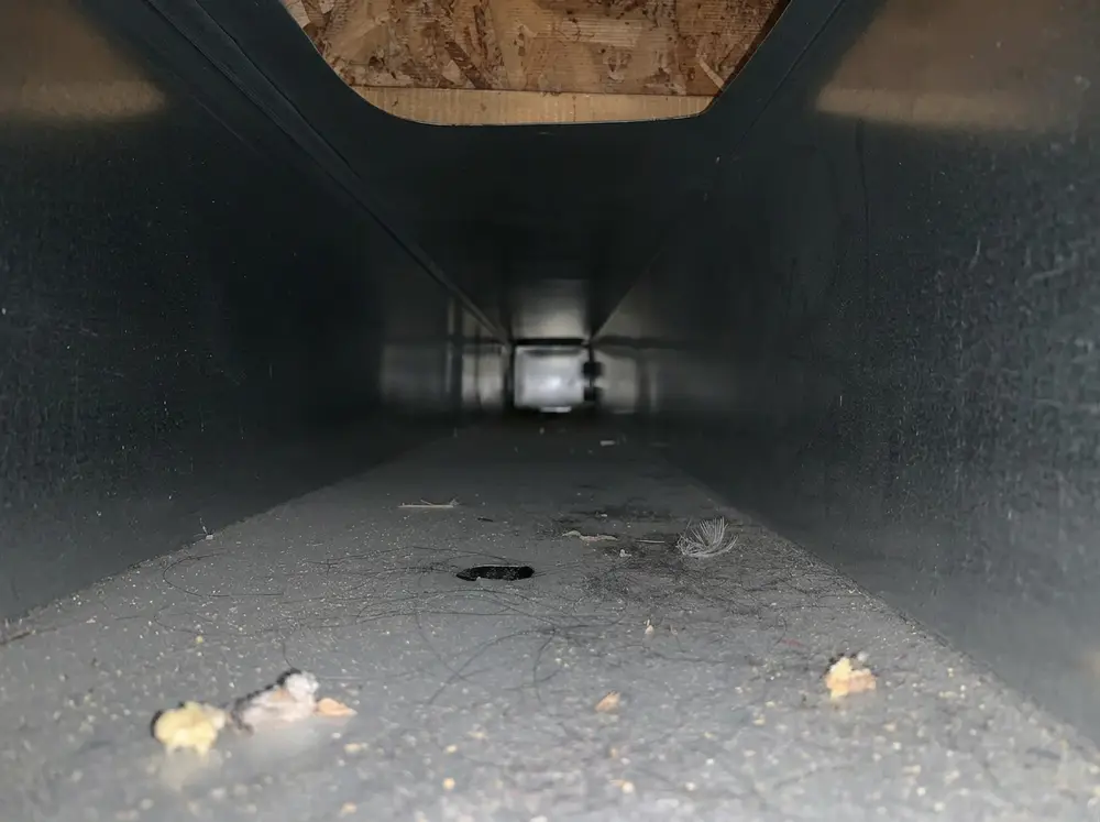 Before trunk line duct cleaning in Calgary